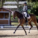 yeguada-almenara-alta-coca-aa-competicion-4